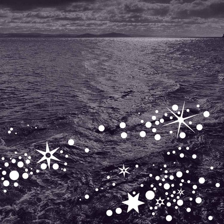 cover art for Exploring the Wilds of Lutruwita - with Katherine Johnson