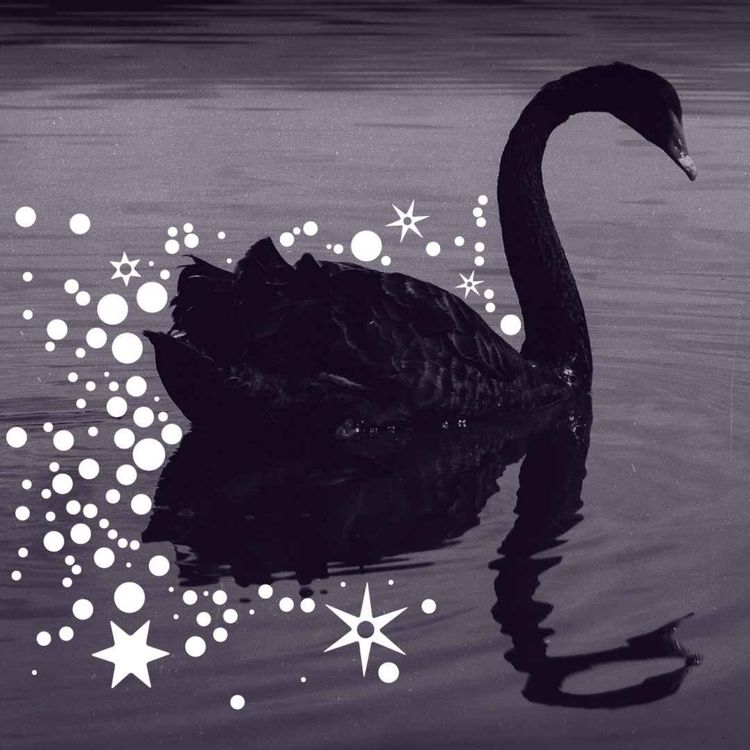 cover art for The Bookshop Curator - with Alex Okenyo of Black Swan Bookshop