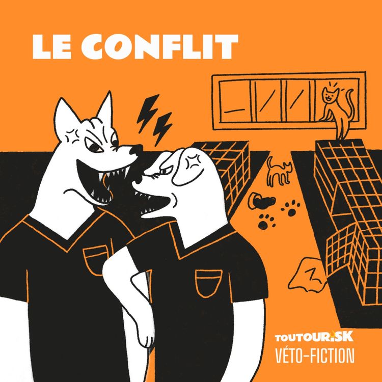 cover art for Le conflit — Tourner au vinaigre