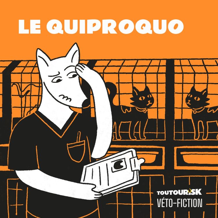 cover art for Le quiproquo — Comme deux gouttes d’eau