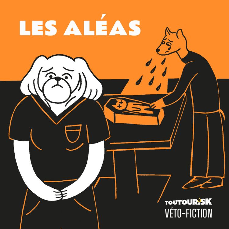 cover art for L’aléa — La faute à pas de chance