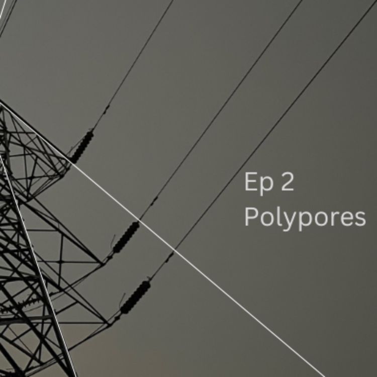 cover art for Polypores