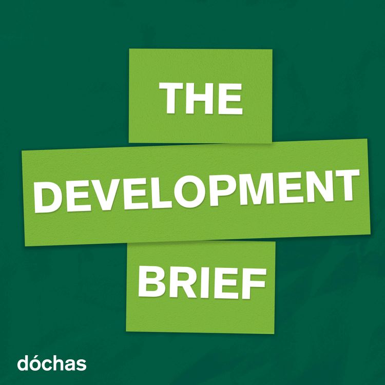 cover art for The Development Brief - Trailer