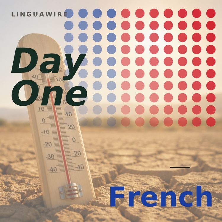 cover art for Episode 7 — It is forty degrees in the south and there is no rain