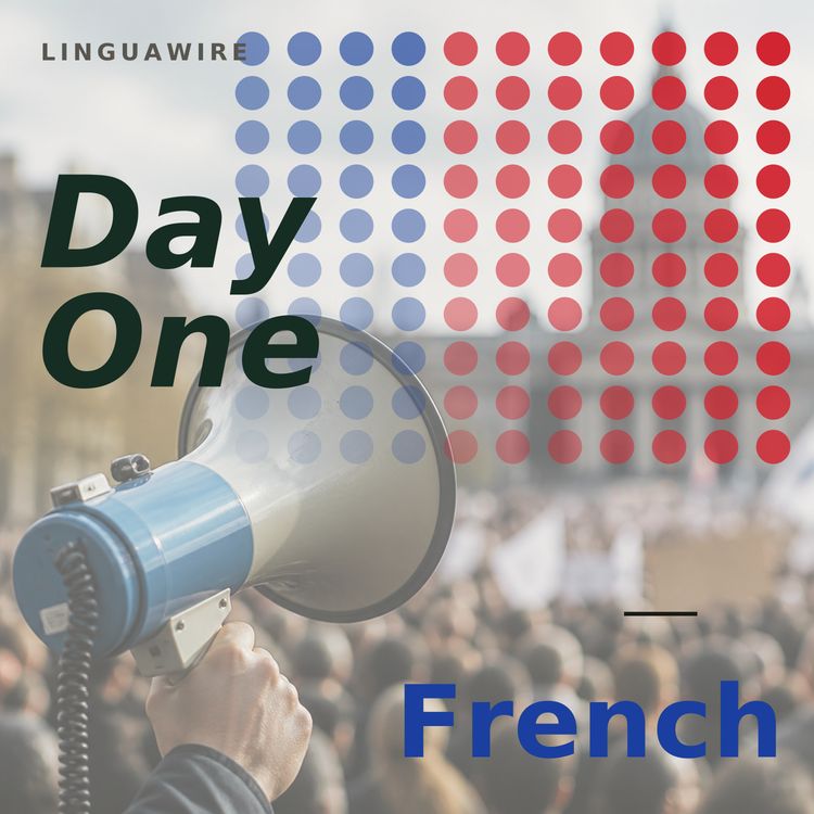 cover art for Episode 4 — More than ten thousand people are at the demonstration