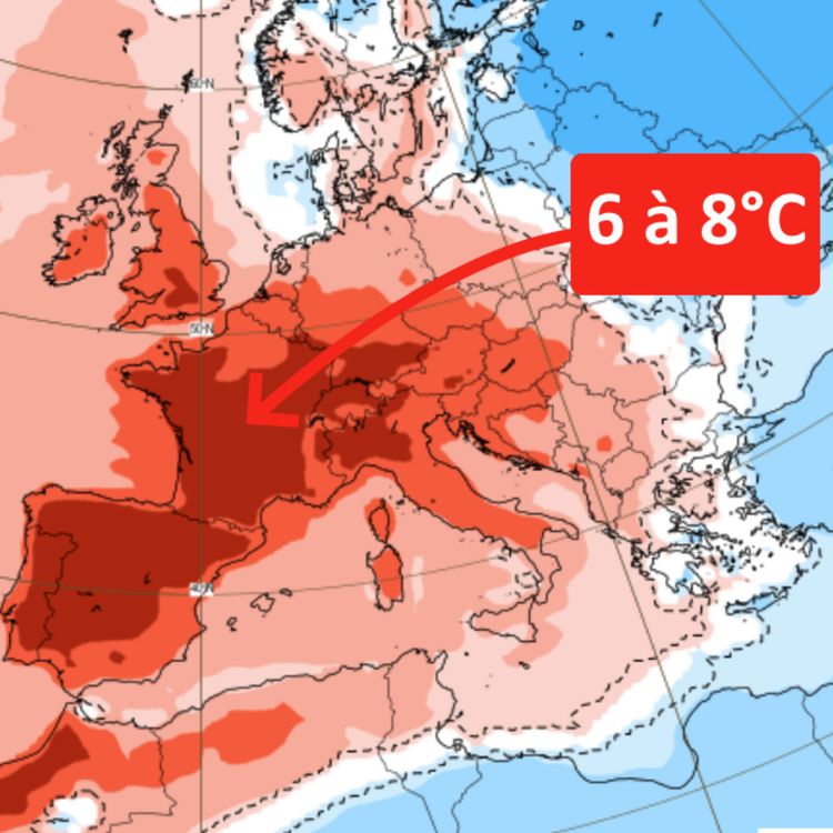 cover art for Canicule : Le programme politique que personne ne veut écrire