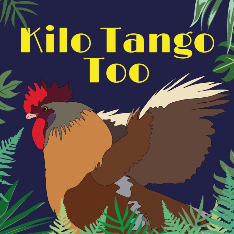 cover art for Kilo Tango Too