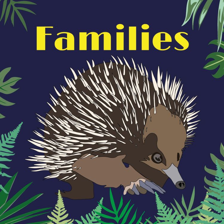 cover art for Families