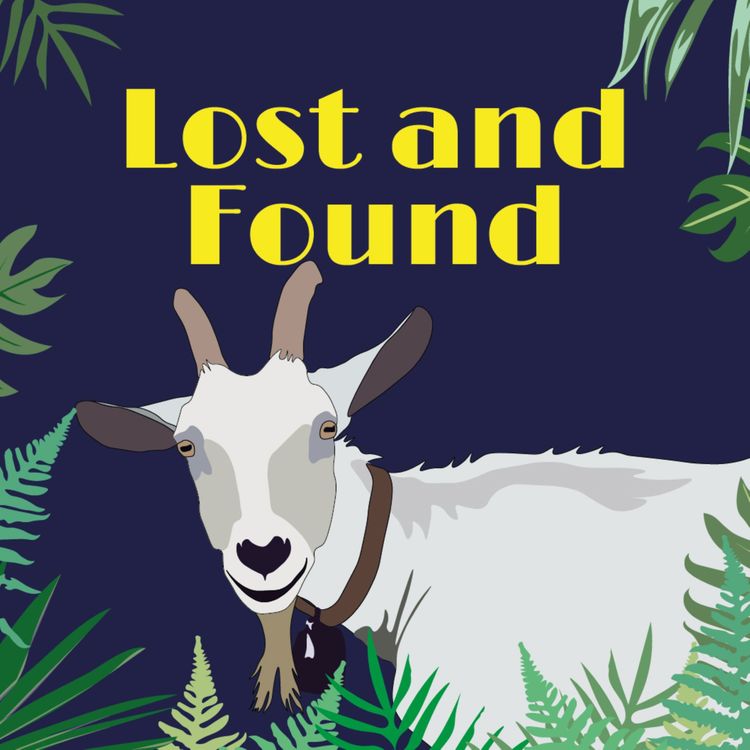 cover art for Lost and Found