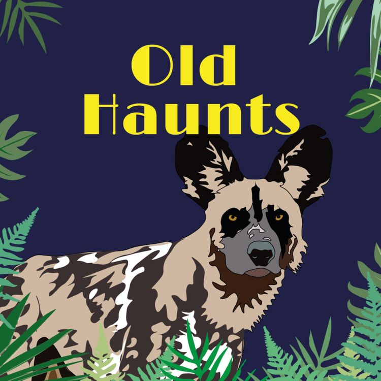 cover art for Old Haunts