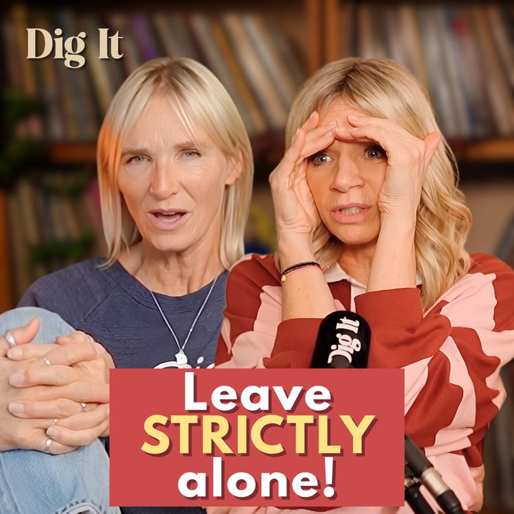 cover art for Strictly, Bake Off & The PM Tackles Menopause