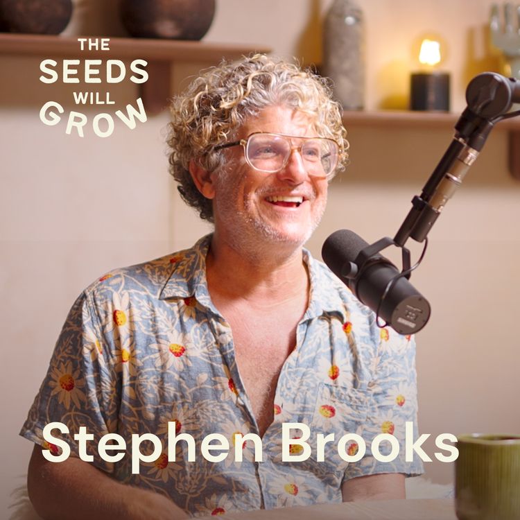 cover art for Stephen Brooks: How to crack the code to life