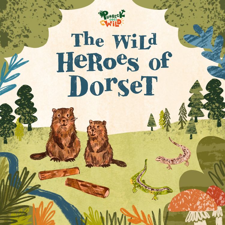 cover art for Episode 1: The Beavers of Little Sea Kingdom