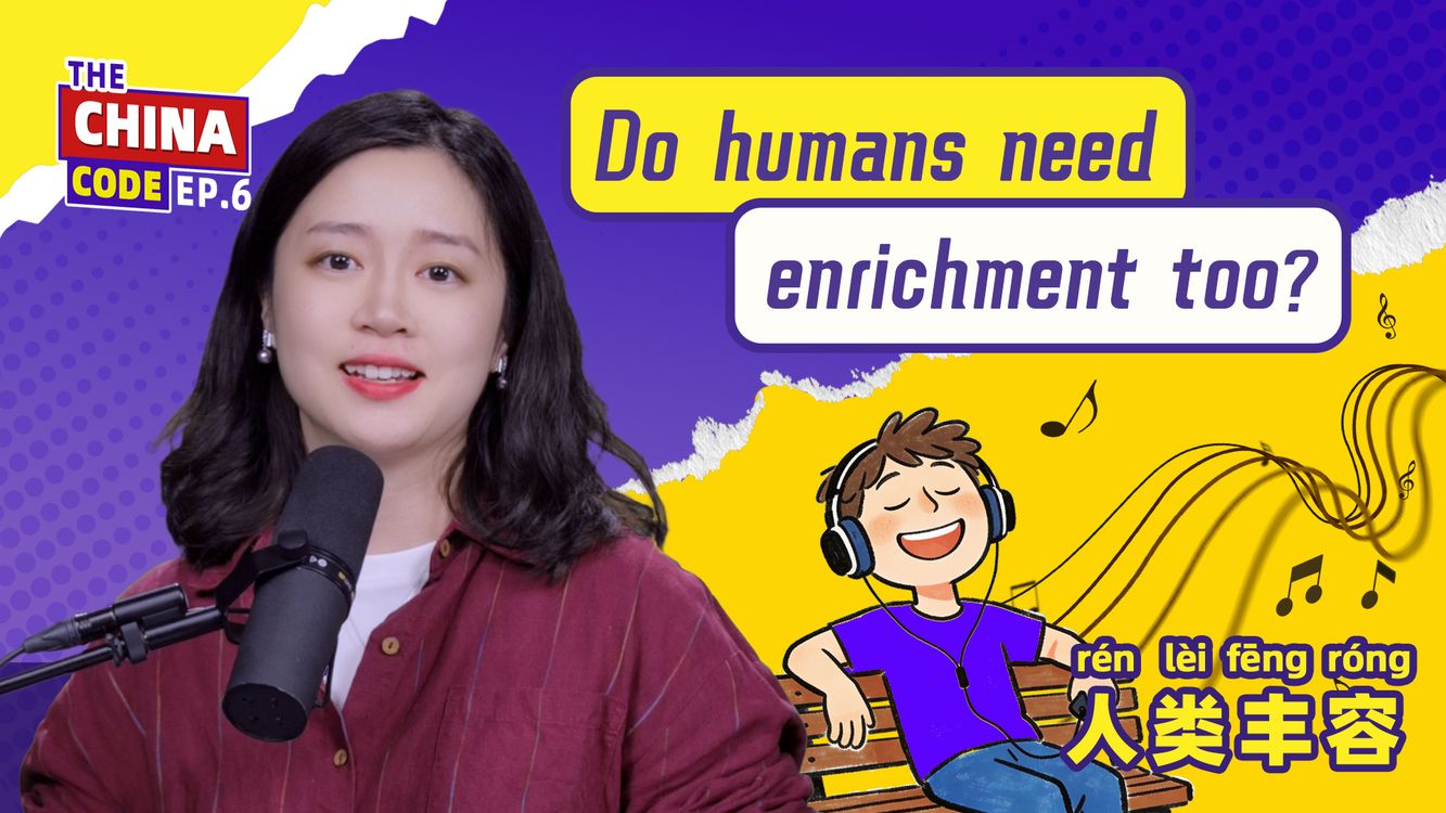 cover art for Do humans need enrichment too? | The China Code Ep.6