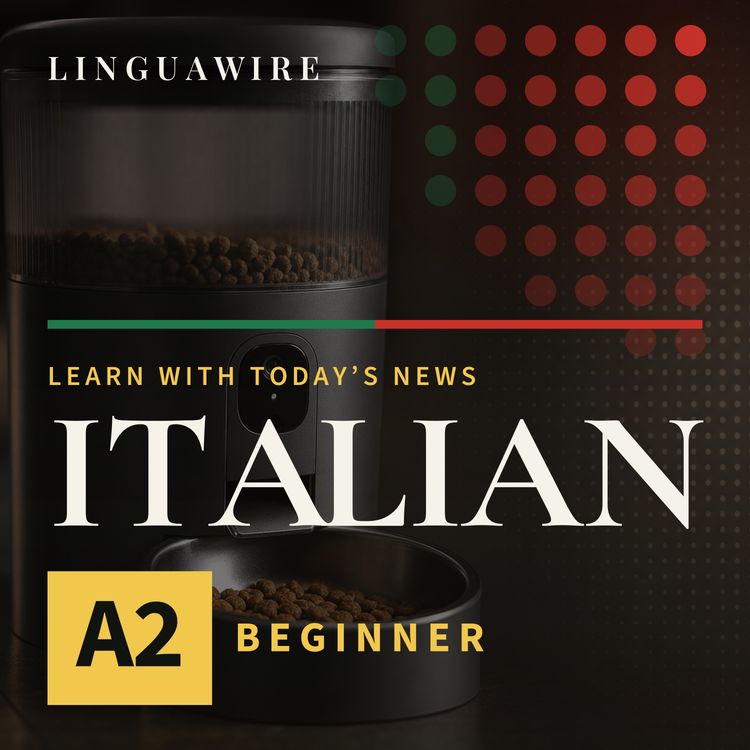 cover art for A2 Italian News | Can Petlibro Win Back Pet Owners After Outage?