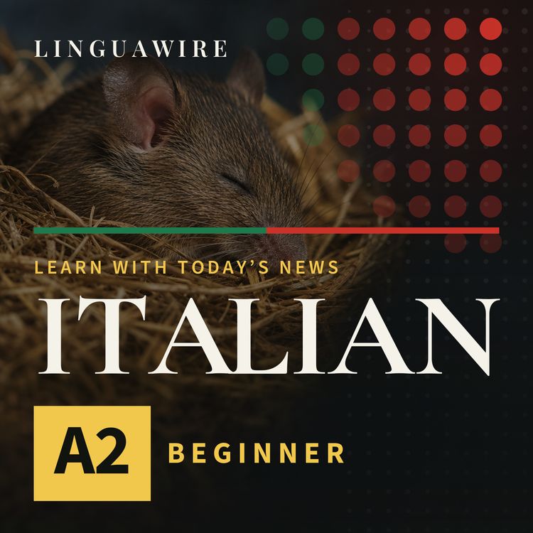 cover art for A2 Italian News | Mice Lose Synapses but Keep Their Memories