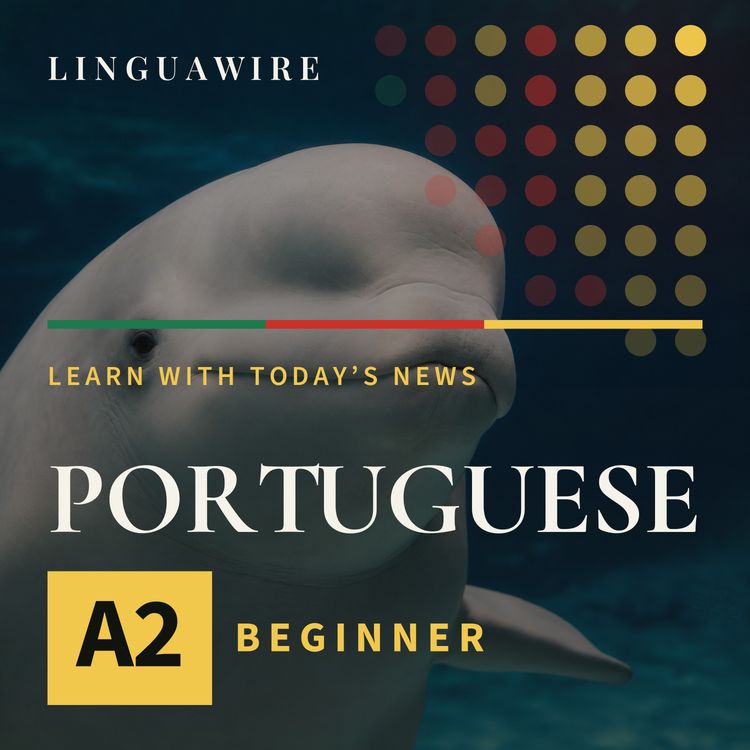 cover art for A2 European Portuguese News | Seven Beluga Whales Arrive in Texas