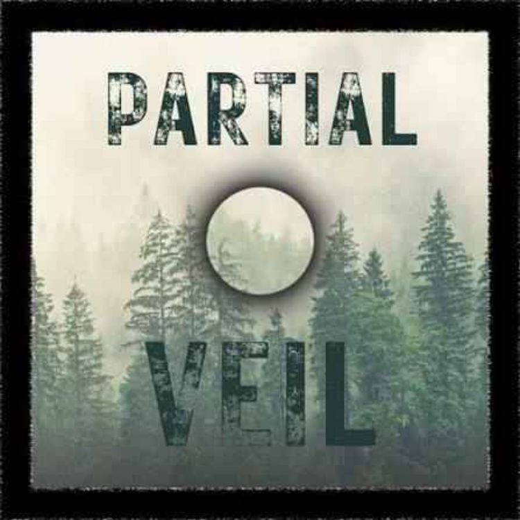 cover art for Partial Veil