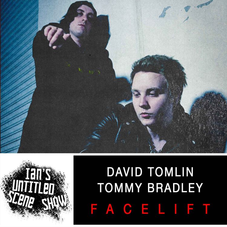 cover art for FaceLift - David and Tommy