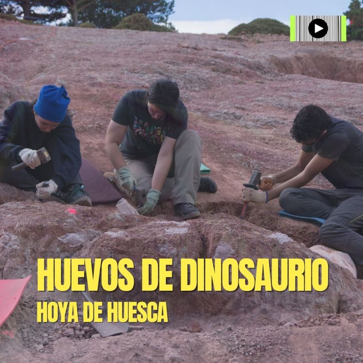 cover art for Huevos de dinosaurio