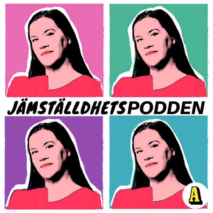 cover art for Män som hatar kvinnor kan skapa kaos i valet