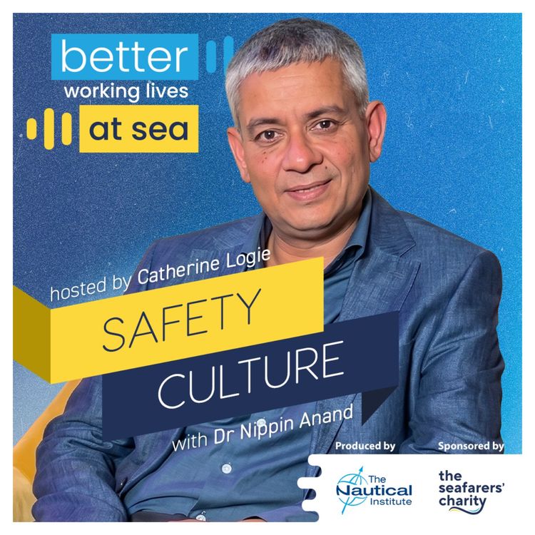 cover art for Safety culture