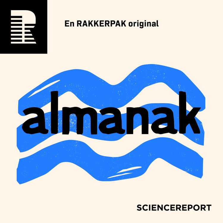 cover art for Hvordan ser fremtidens kystsikring ud?