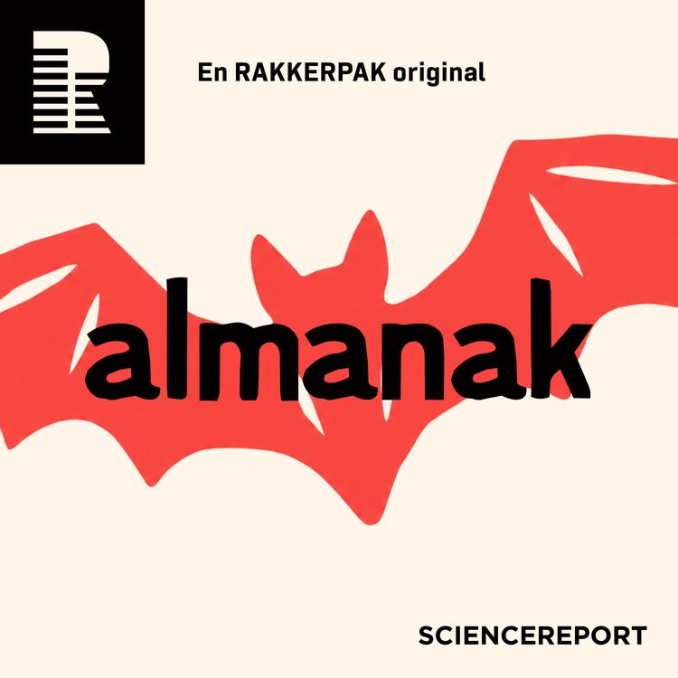 cover art for Flagermusene flyver i septembermørket