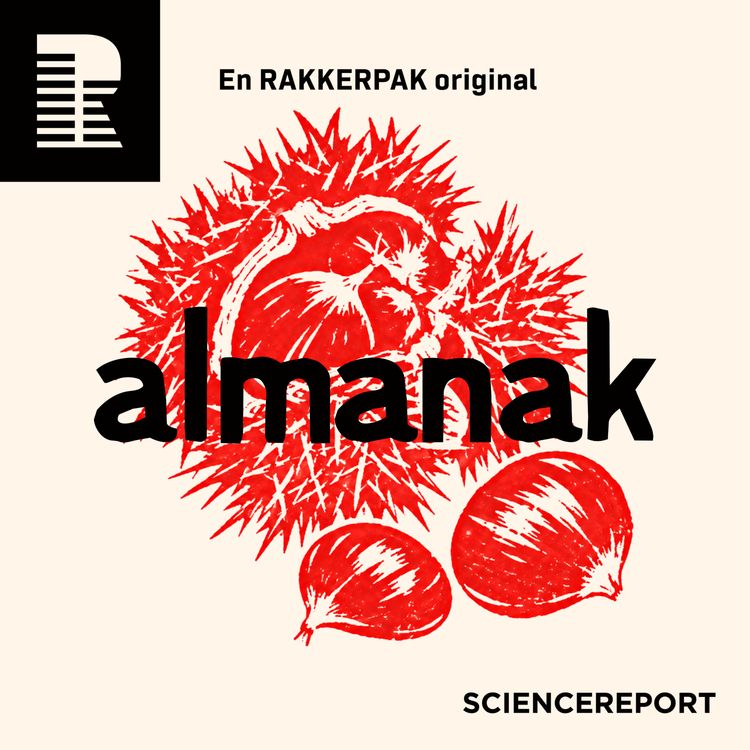 cover art for Nu falder kastanjerne