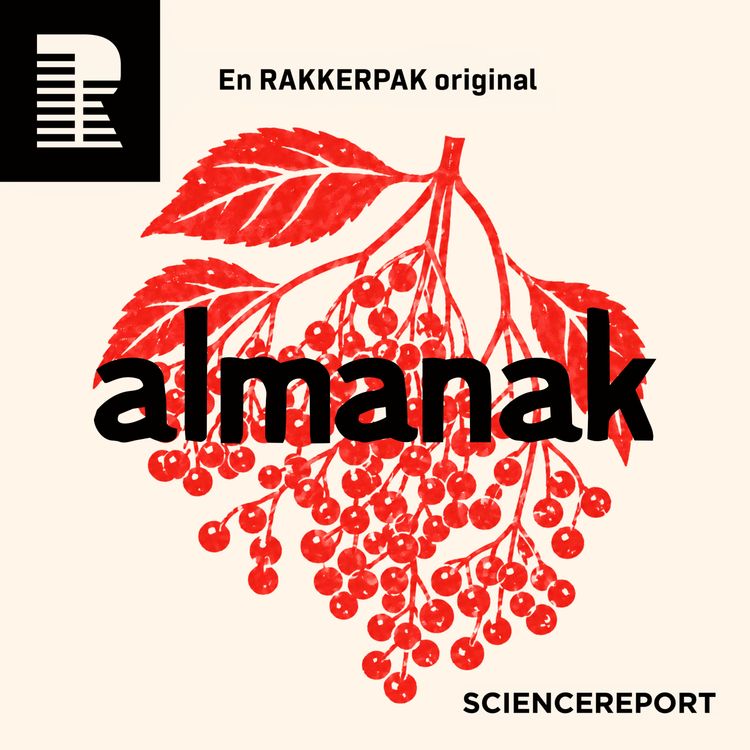 cover art for Hyldebærrene hænger klar