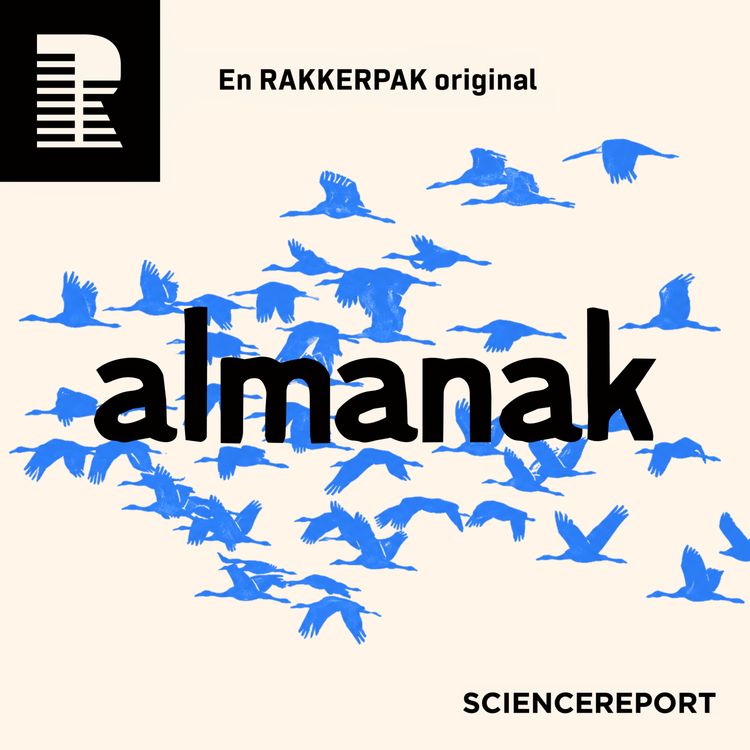 cover art for Efterårstrækket fylder himlen