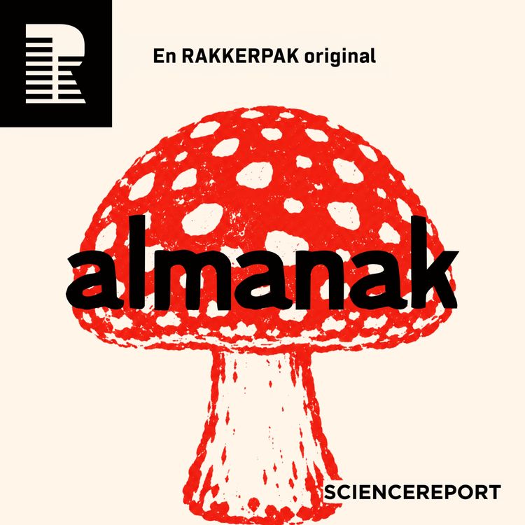 cover art for Pas på de giftige svampe