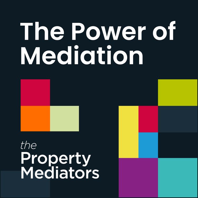 cover art for The Role of the Mediator
