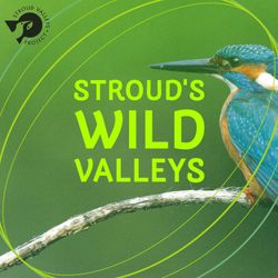 cover art for Stroud's Wild Valleys