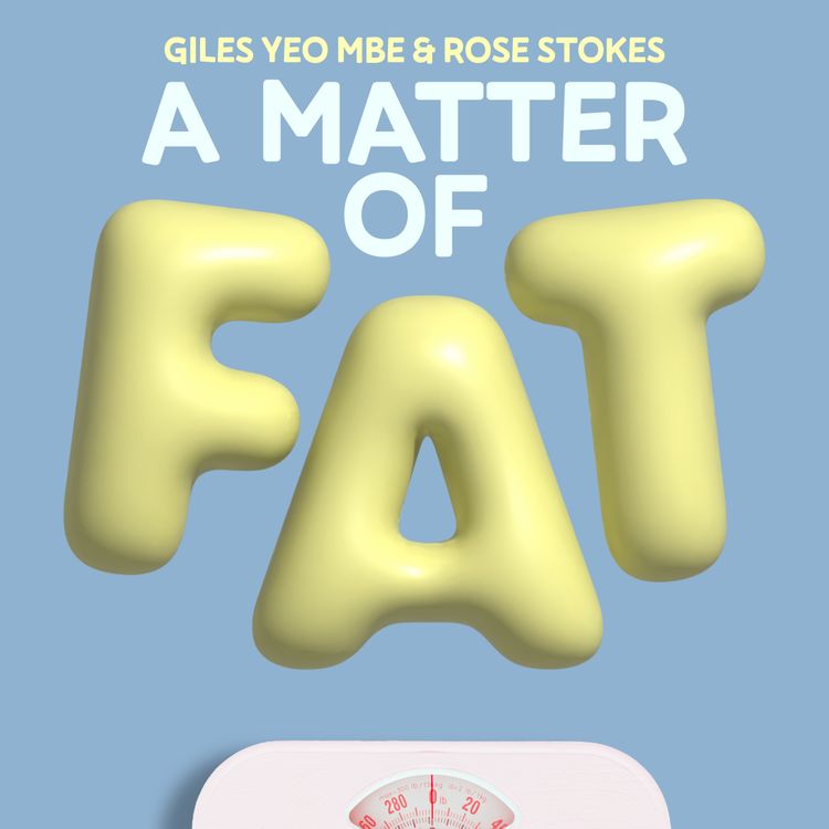 cover art for After The After — If We Know Diets Don't Work, Why Do We Still Try?