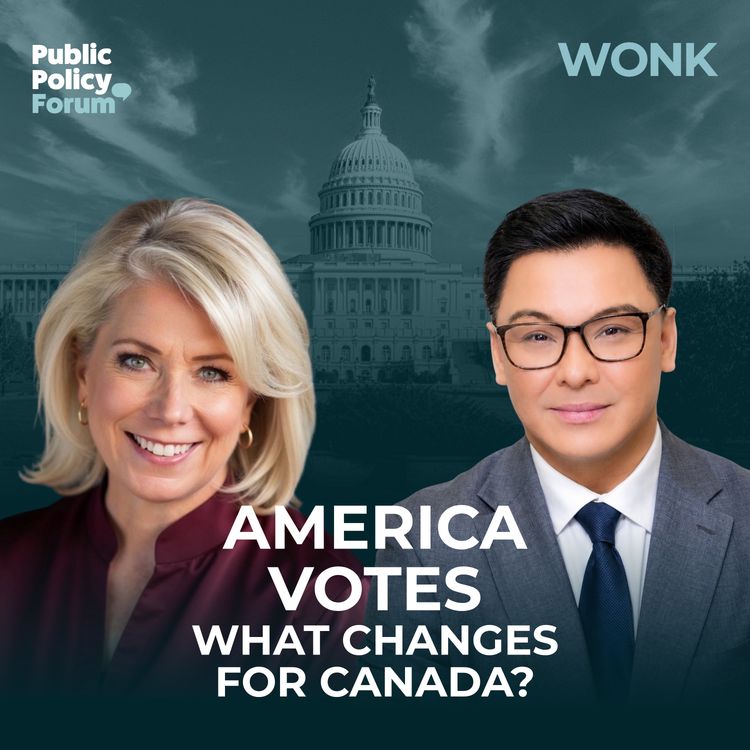 cover art for What the U.S. midterms could mean for Canada