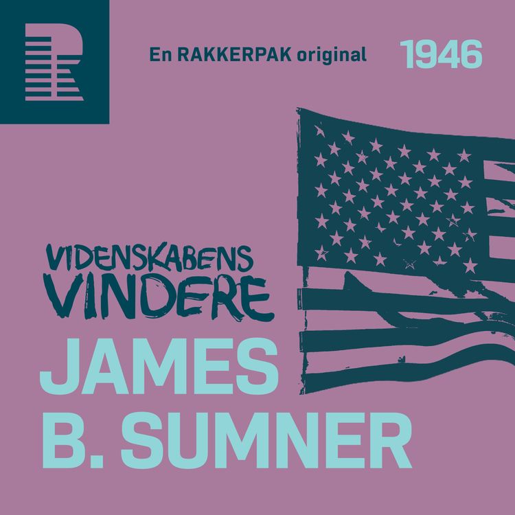 cover art for 1946: Den enarmede jæger