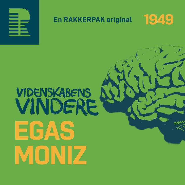 cover art for 1949: Adelsmanden og det hvide snit
