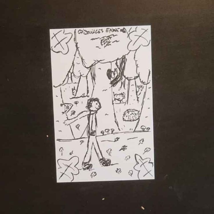 cover art for Se perdre en forêt