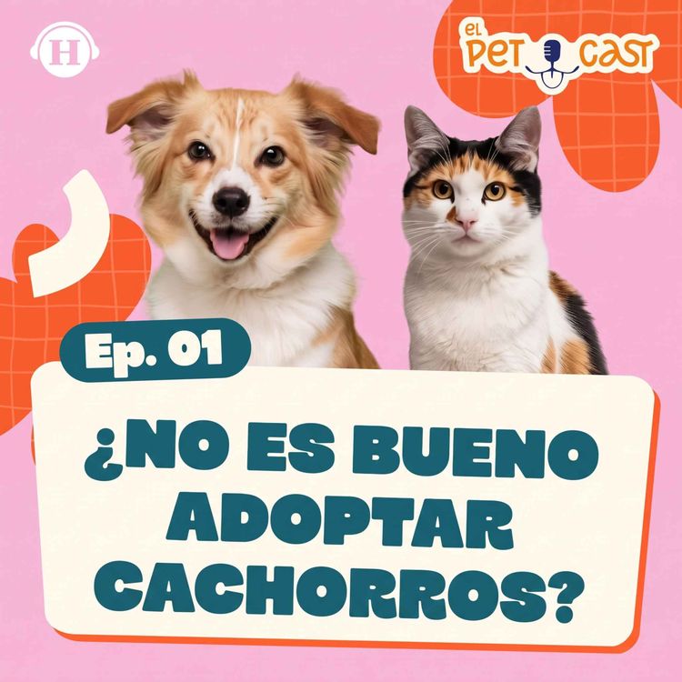 cover art for Adoptar no es cualquier cosa ¿Eres capaz de hacerlo? | Alina González
