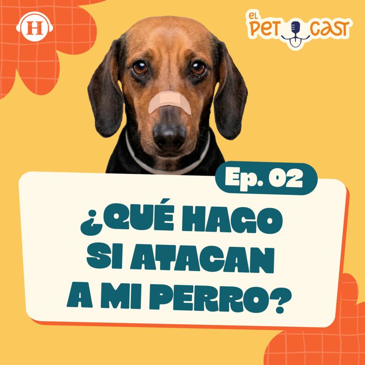 cover art for Tips para que el paseo de tu perro sea más seguro