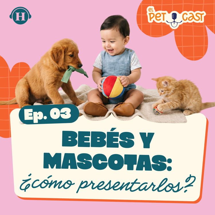 cover art for Llegó a casa un ser vivo: ¿Cómo lo integro correctamente?