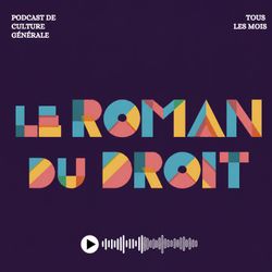 cover art for LE ROMAN DU DROIT