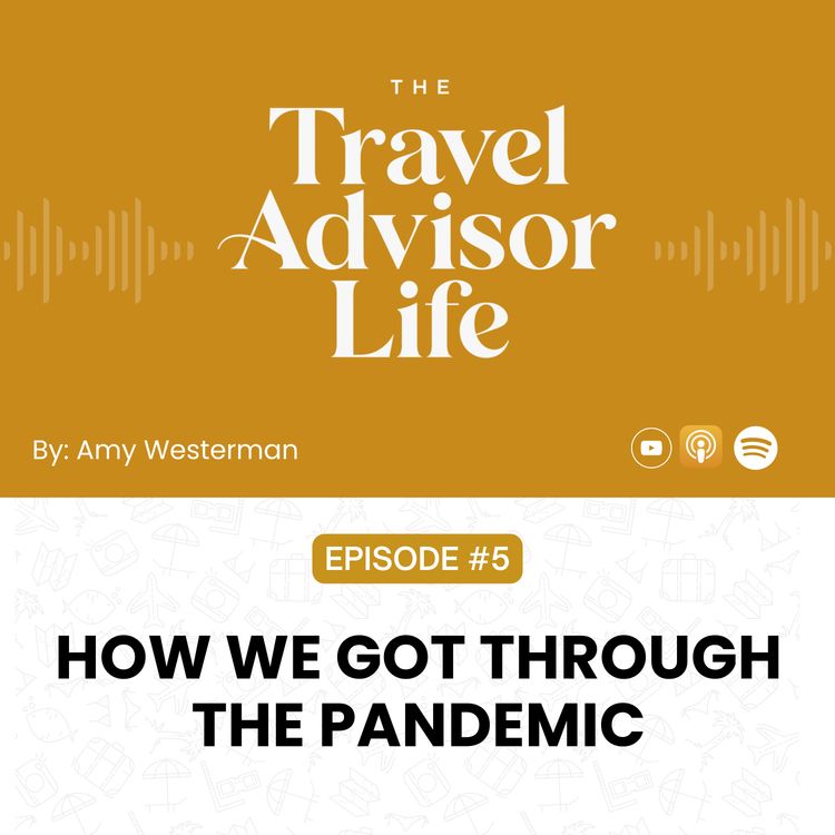 cover art for How We Got Through the Pandemic