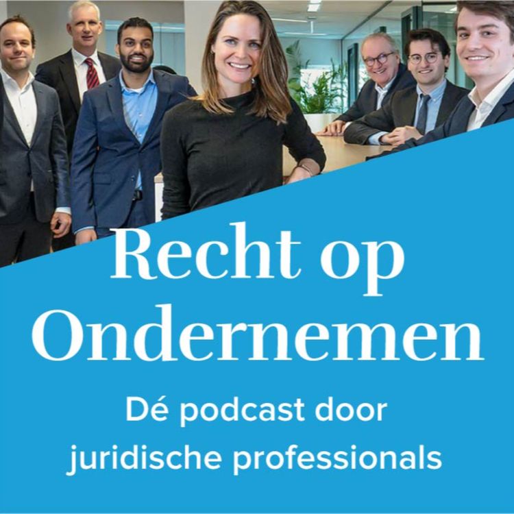 cover art for Hoe voorkom je dat je IT-implementatie ontspoort?