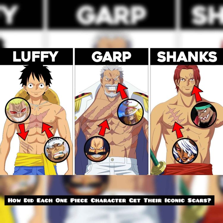 cover art for How Did Each One Piece Character Get Their Iconic Scars?