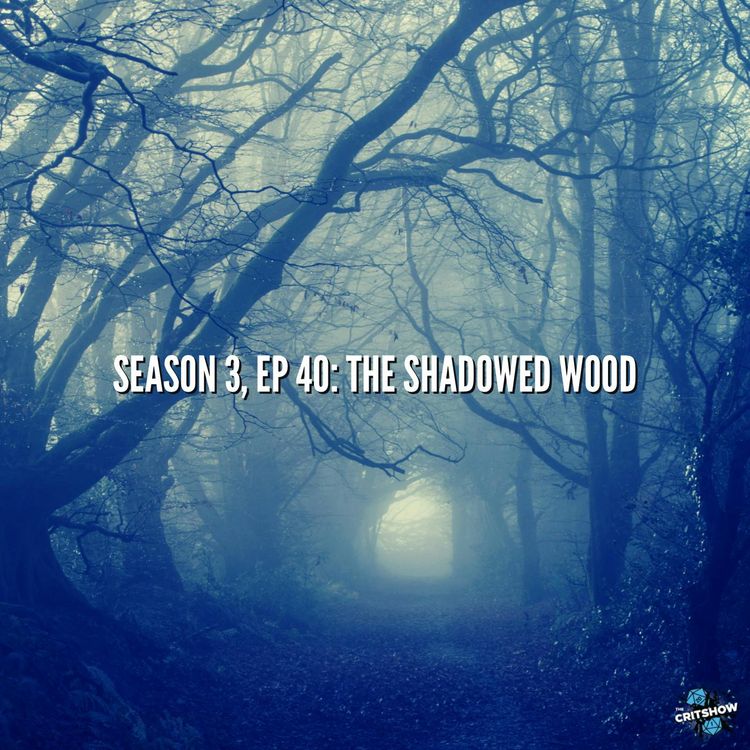 cover art for The Shadowed Wood (S3, E40)