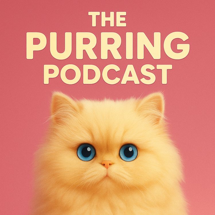 cover art for Episode 310 – Kitten Purrs for Social Anxiety and Quiet Reassurance – (ASMR, Social Anxiety, Comfort, Calm, Relax)