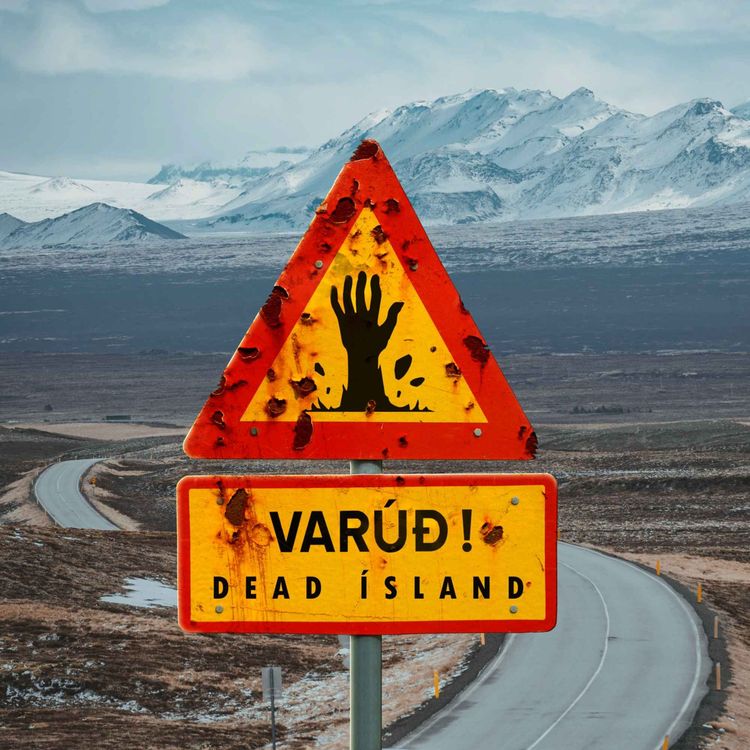 cover art for [DÍ 03] Hveragerði Fire