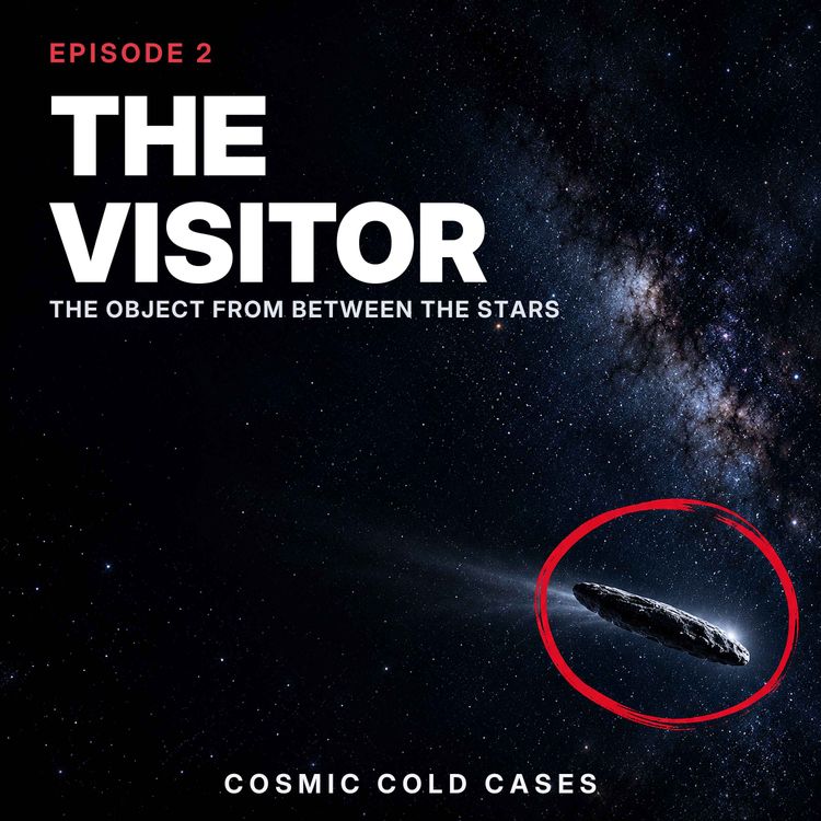 cover art for The Visitor: The Object That Came From Between the Stars